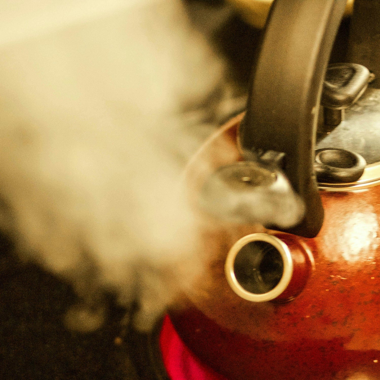 How to Judge Steam Temperature in a Handheld Steam Cleaner